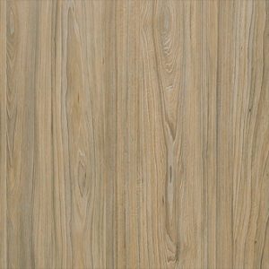 3085 American Elm - Lamin-Art