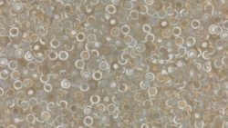 3698 Beluga Beige - Formica