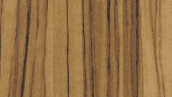 5481 Oiled Olivewood - Formica