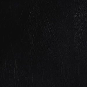 5618 Coal - Formica