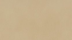 5623 Ivory - Formica