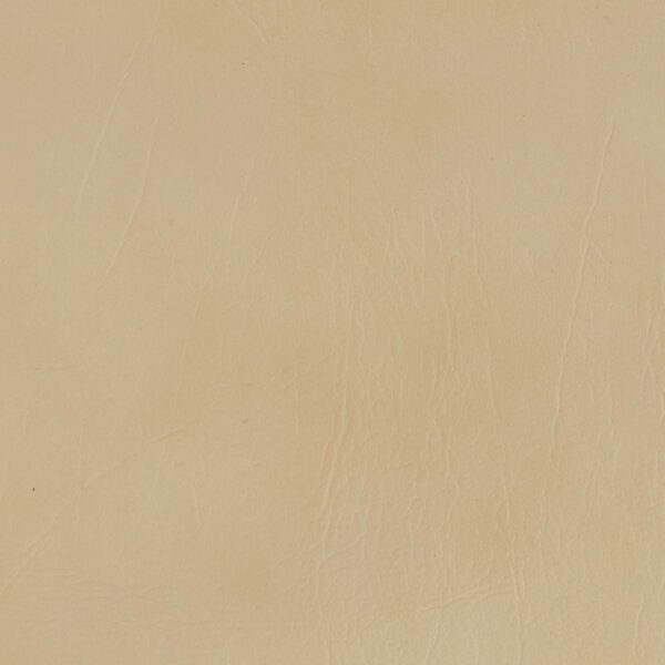 5623 Ivory - Formica