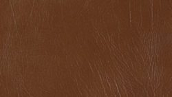 5625 Chestnut - Formica