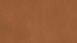 5626 Toffee - Formica