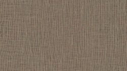 5880 Earthen Warp - Formica