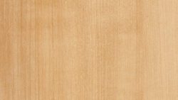 6206 Planked Deluxe Pear - Formica