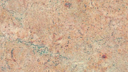 7266 Cotta Stone - Formica