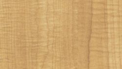 7288 Ginger Root Maple - Formica