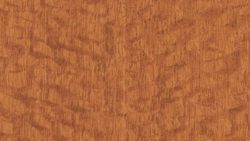 744 Lacewood - Formica