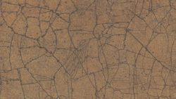 7704 Burnished Glaze - Formica