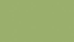 8820 Leaf Green - Formica