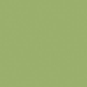 8820 Leaf Green - Formica