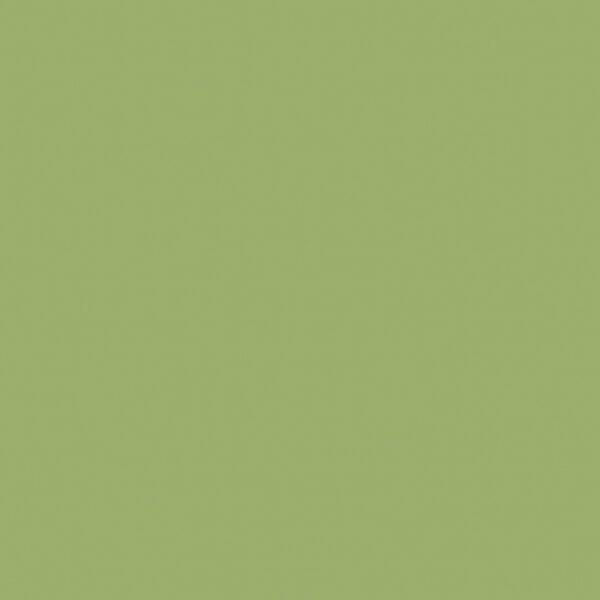 8820 Leaf Green - Formica