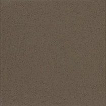 9063GG Capers - Wilsonart Solid Surface