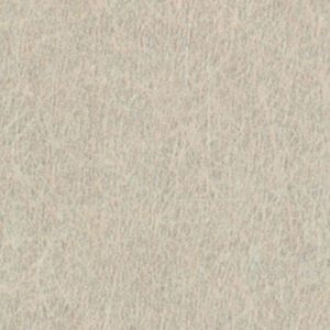 AG441 Taupe Serenity - Pionite