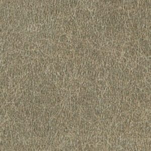 AV801 Olive Serenity - Pionite