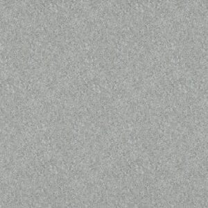 P282 Gaspe Grey Granite - Arborite