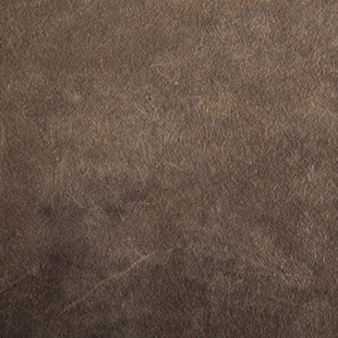 3383 Manaus Brown - Arpa