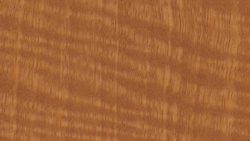 WZ0003 Tawny Satinwood - Nevamar