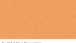 Y0434 Tangerine Boucle - Wilsonart