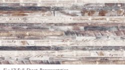 Y0469 Antique Limed Pine - Wilsonart