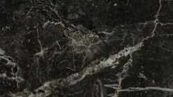 P1008 Saint Laurent Marble - Arborite