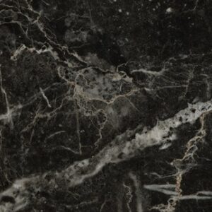 P1008 Saint Laurent Marble - Arborite