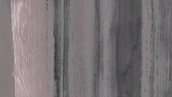 3013-VNR Grey Oak Wash Veneer - InteriorArts