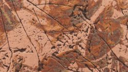 238 Autumn Copper Leaves - Chemetal